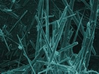 200xHI_tn_asbestos_microbe.jpg